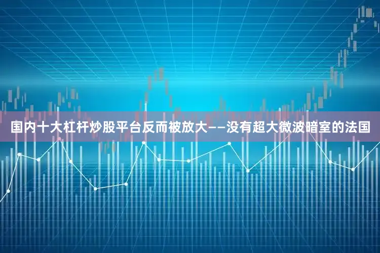 国内十大杠杆炒股平台反而被放大——没有超大微波暗室的法国